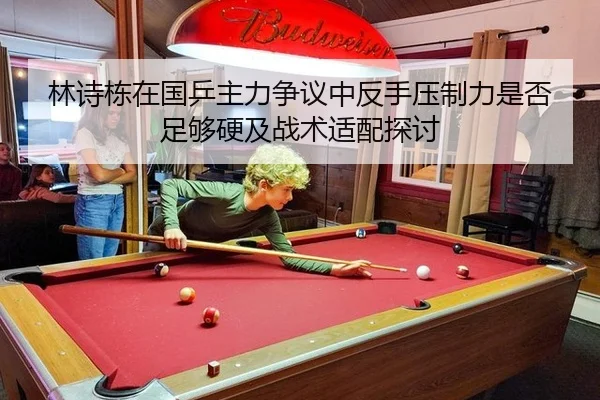 林诗栋在国乒主力争议中反手压制力是否足够硬及战术适配探讨