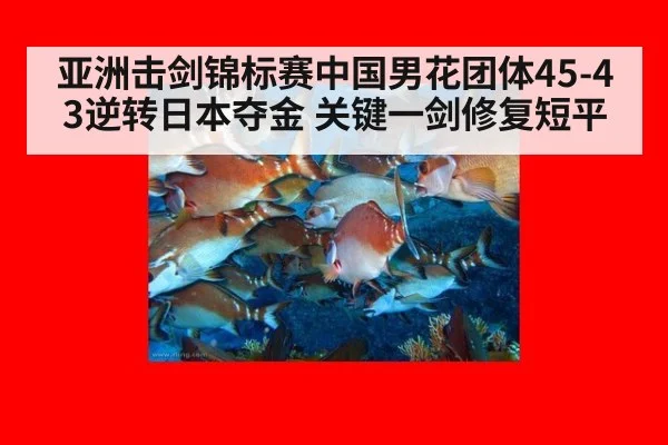 亚洲击剑锦标赛中国男花团体45-43逆转日本夺金 关键一剑修复短平